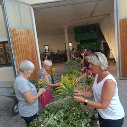 Kräuterbuschenbinden